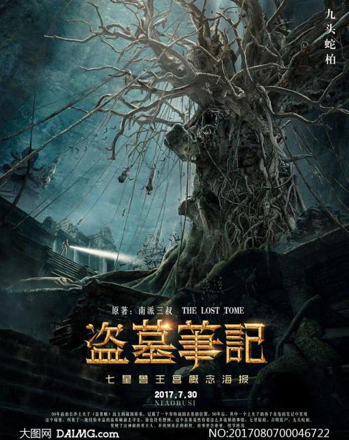 做假刚果共和国护照